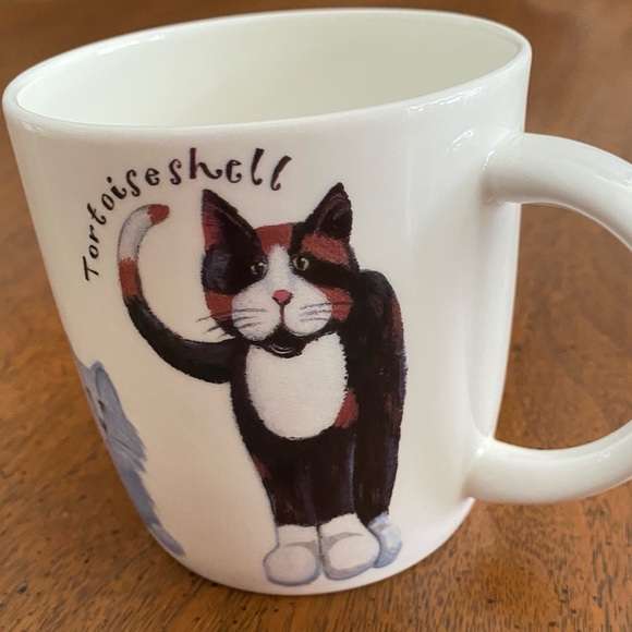 Roy Kirkham Fine Bone China Mug Cats Angora Manx Persian Tortoiseshell England - Picture 7 of 10